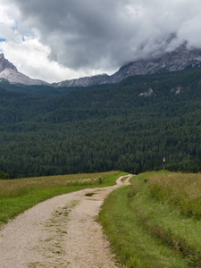 蜿蜒步行小径穿过草地, 意大利阿尔卑斯山山区的背景