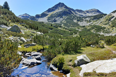 令人惊叹的景观与 Valyavitsa 河和 Valyavishki 鸡峰，皮林山