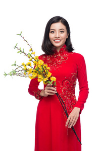 美丽的亚洲女性对传统节日的肖像服装 Ao Dai 持有 Hoa 麦树 Ochna Integerrima 花。春节假期。农历