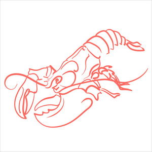 龙虾手绘图标, 矢量插图