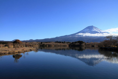 MT的倒置图像。 富士山观塔努基湖静冈日本