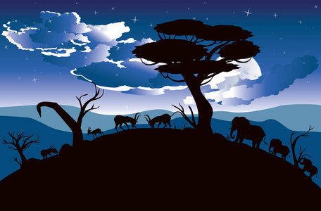 夜景与羚羊