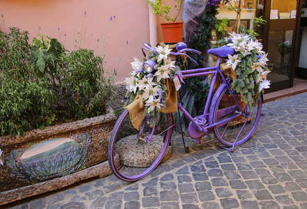 用花来装饰的彩色画的自行车