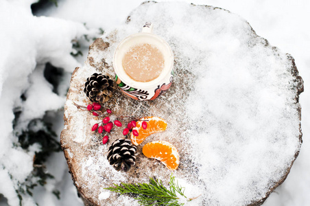 美丽的冬卡与蜂蜜和松果。檗在雪地里。舒适的食物图片