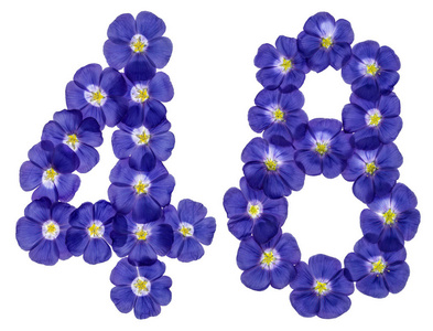 阿拉伯文数字 48, 四十八, 从亚麻蓝色的花, isola