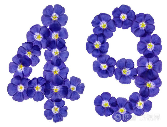 阿拉伯文数字49四十九从亚麻蓝色的花isolat