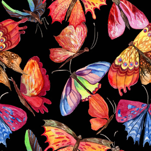 充满异国情调的蝴蝶野生昆虫图案以水彩风格