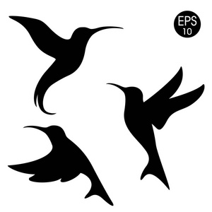 矢量黑色 colibri 剪影.白色背景鸟照片