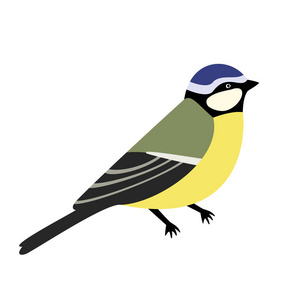 山雀插画-山雀手绘-山雀卡通图-摄图新视界