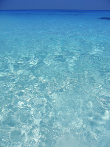 加勒比海蓝绿松石水在坎昆