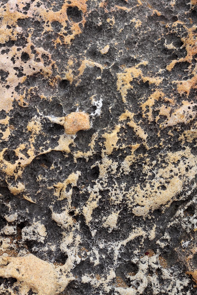 地中海沿海石灰岩风化的海