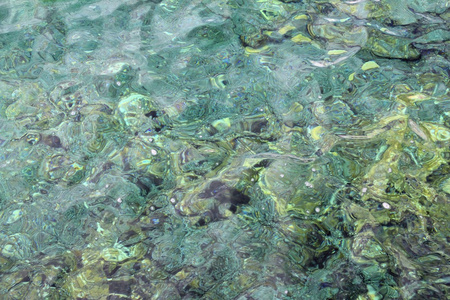 多彩绿色的海洋岩岸透明