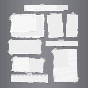 白色撕裂的水平和垂直的纸带, 笔记本, 便条纸的文字或信息粘胶带在灰色背景