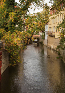 在布拉格，Chertovka 河，Kampa 岛的秋天