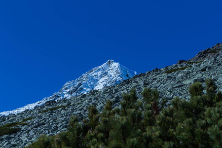 在高塔特拉山