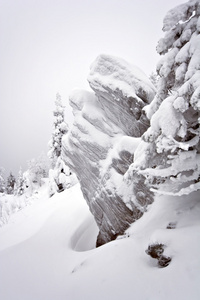 在乌拉尔的大雪覆盖的岩石。siberia.taiga