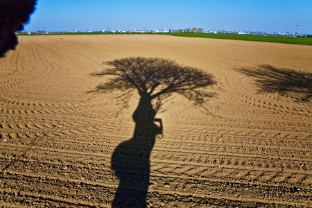 英亩树图片-英亩树素材-英亩树插画-摄图新视界