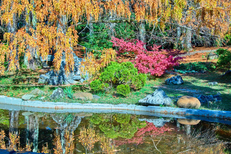 索契.国家公园植物园。秋天