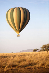 坦桑尼亚塞伦盖蒂的热气球