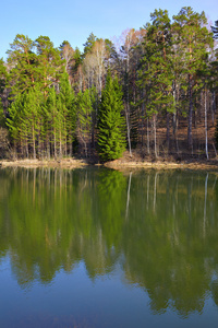 池塘和树木