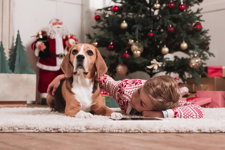 在圣诞节 beagle 犬的男孩