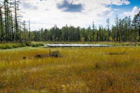 亚马尔半岛罗弗敦群岛度假房屋多彩的秋天楚科奇苔原,北极圈俄罗斯