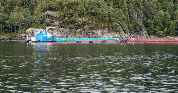 格附近的挪威工业规模鱼类养殖