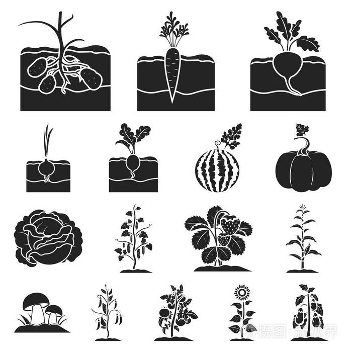 植物, 蔬菜黑色图标集合中的设计。花园和收获向量符号股票网页插图