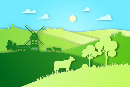 论文设计领域和草甸插图生态自然农业概念。生态产品包装的农场景观向量平面图。生态绿色农业