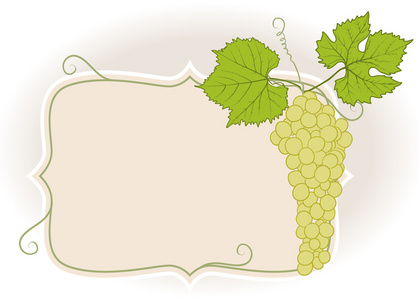 葡萄架在公开市场在葡萄架生长在葡萄园上留下的第一个春天浅背景葡萄