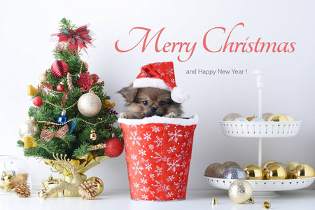 新年快乐, 圣诞老公公, 狗在圣诞老人的帽子, 庆祝球和其他装饰