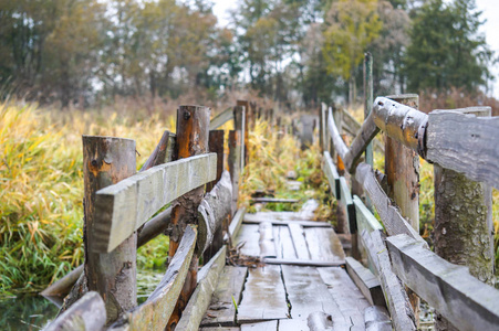 古老的, 木制的, 破旧的桥横跨一条废弃的河在初秋的森林