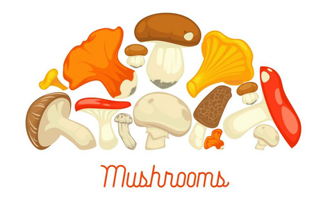 蘑菇食用菌海报图片