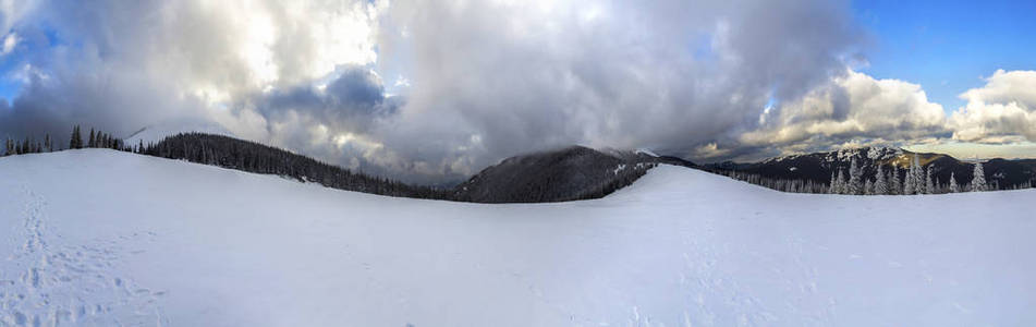 冰雪覆盖的松树和低碳的冬山景观