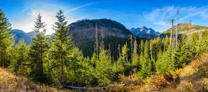 波兰 Tatra 山脉 Morskie 开元的全景