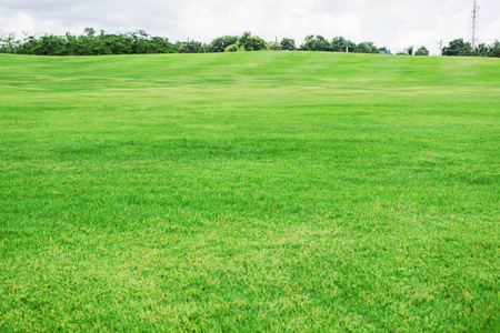草坪山坡图片-草坪山坡素材-草坪山坡插画-摄图新视界