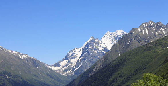 高加索山脉夏季。Dombai 山风景