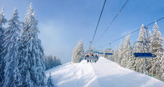 喀尔巴阡山滑雪胜地云杉林中的椅