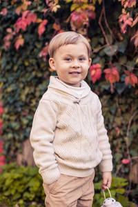 3 年的一个可爱的小男孩走在秋天的公园。温暖的秋天。红色的叶子。一个男孩在针织套头毛衣