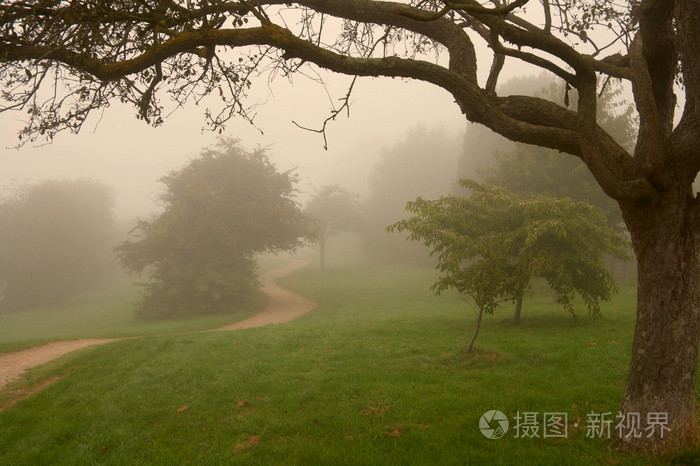 早晨的英语雾在公园里温暖的灯光