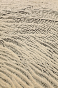 风在海滩的沙丘上形成结构图片