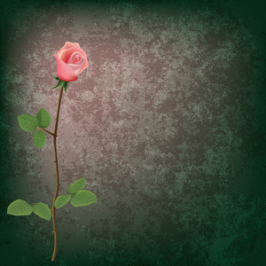 抽象 grunge 花卉背景与玫瑰