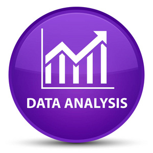 数据分析 统计图标 特殊的紫色圆形按钮