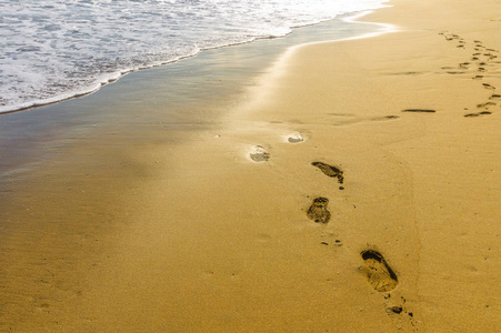 沙滩上脚印的曲线路径