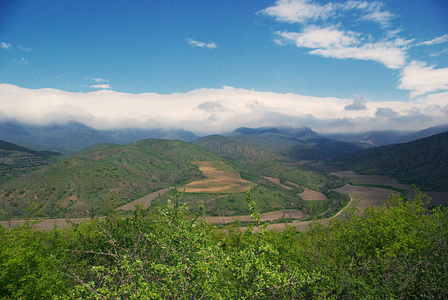 夏季景观