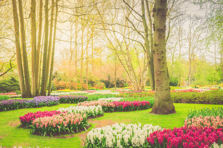 春天的正式花园图片