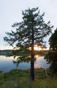 夏日夕阳湖景图片