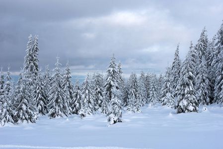 白雪覆盖的山上的圣诞冬日仙境