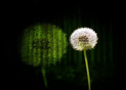 花背景