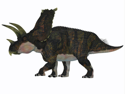 Bravoceratops 恐龙侧面轮廓